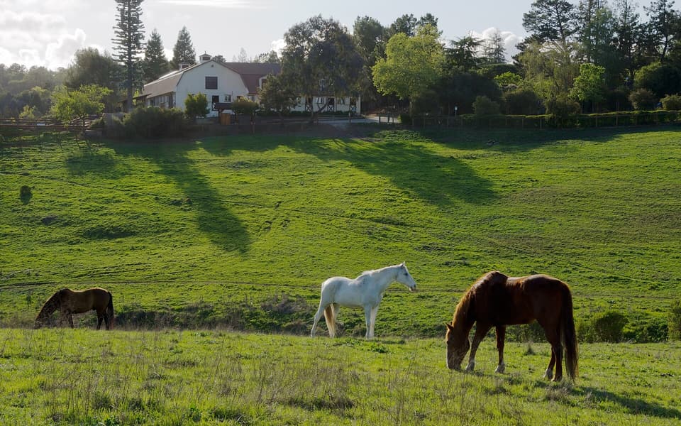 Los Altos Hills, California
