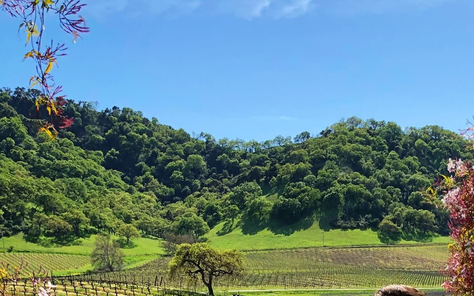 Morgan Hill, California