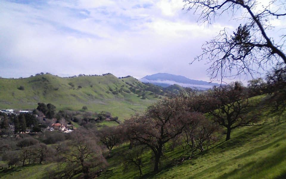 Walnut Creek, California
