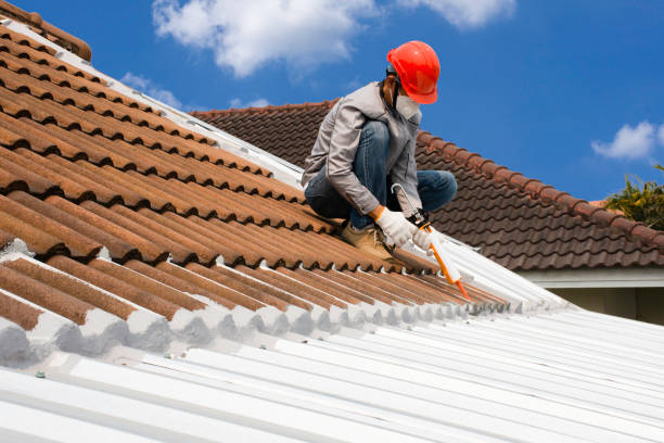 Roof Coating & Sealant